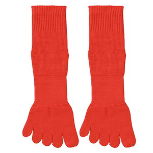 yzy1800~ψzypԁ@ǁzZETT([bg)CY5zr\bNXbh2ZbgZAS4100-6400-2SETy21z