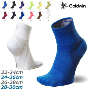 yzy܂ƂߔIzyԁzGoldwin(S[hEBjC3fitiV[X[tBbgjV[X[tBbg A[`T|[g NH[^[\bNX N[\bNX Y fB[