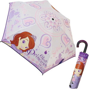 yzy2000~ψzyLN^[z(JP)yqPzDisney(fBYj[) ȃvZX@\tBA n[g 53cm ܂肽ݎP 90206 (16)