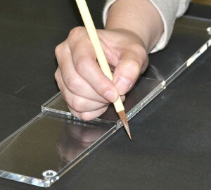 yzp ׁ[ Vr pr ܏|ʌoɍœK ʂȂr@ 620306 yԁz