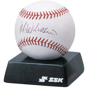 yzyǂ3ȏŊe200~zyLOzyƁzSSK(GXGXPC)TC{[ƃTC{[(ؐ)Zbggݍ킹GDSB2-SBC5yԁz