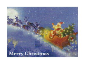 yMtgɍœKzChristmas |XgJ[hXPC-100506