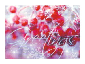 yMtgɍœKzChristmas O[eBOJ[hXGC-100504