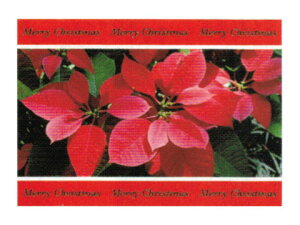yMtgɍœKzChristmas |XgJ[hXPC-100510