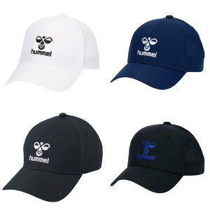 yzy3500~ψzhummel(q) x[VbNLbv zCg CfBSlCr[ ubN ubN×Cu[@ HFA4095yԁz