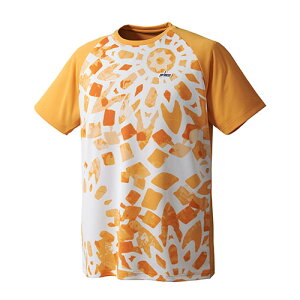 yzy4000~ψzypԃzprinceivXjjZbNX Q[Vc vX ejXEFA jZbNX Q[Vc@UPF+50 ՔMiՔMۃACbgfށjIW MS301