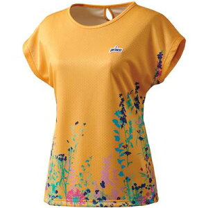 yzy6000~ψzypԃzprinceivXjՔM z  ejX EFA fB[XEEBY Q[Vc WS2073y22z