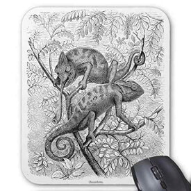 カメレオンのイラストのマウスパッド：フォトパッド（ 世界の爬虫類シリーズ ）