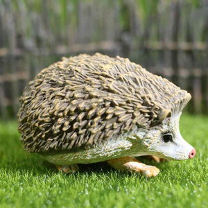 tBMA ͋[ TCY nlY~ q  u 쐶 ঒ i  c Ԃ Fm 킢