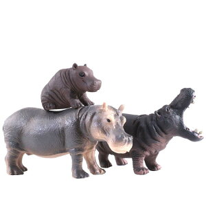 tBMA ͋[ Jo q vX`bN  u A q Tt@p[N Ƒ Ԃ Fm   i 킢