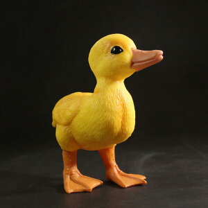 tBMA 킢 Aq qp 傫TCY F V~[V   u  ߋ LbY i CeA A