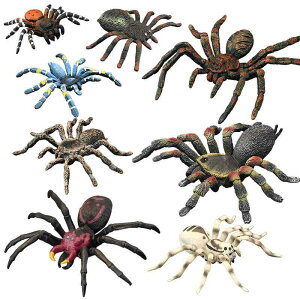 tBMA qp V~[V ͌^  u  ߋ N ߊl  ÓI Fm Mtg i ώ@p RNV