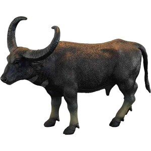 tBMA qp V~[V ͌^  u  ߋ  obt@[  A Fm Mtg i