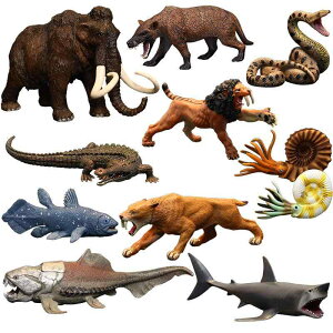 tBMA qp  V~[V g   u  ߋ X͊ T[x^CK[ }X nCGi NR_C RNV fBXvC