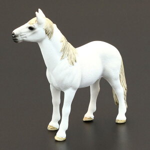 tBMA q V~[V ͌^  u  ߋ 쐶  n n |j[ Fm Mtg i A