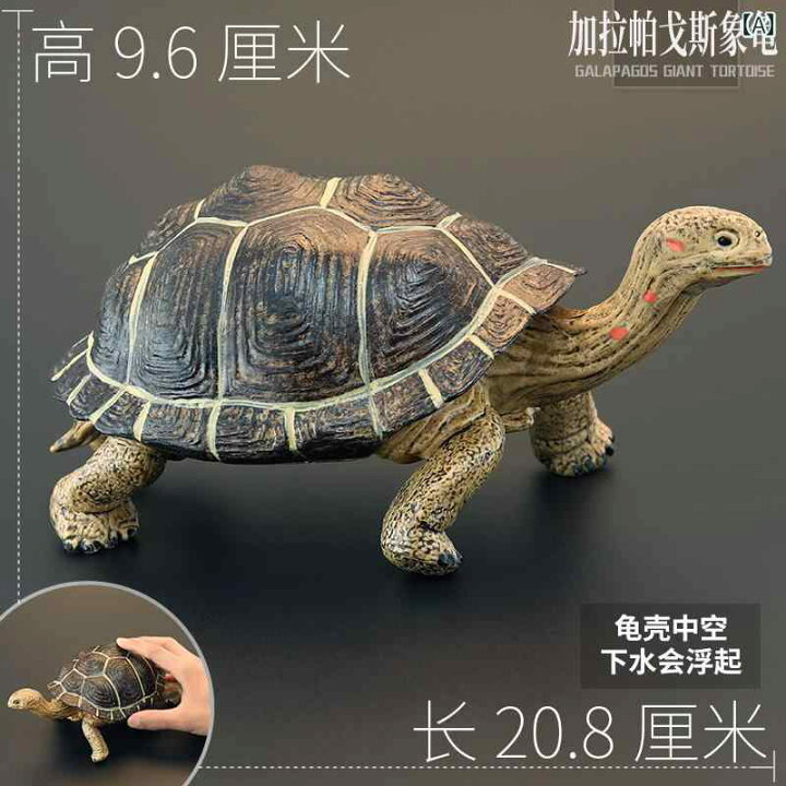 楽天市場】フィギュア 大型 子供用 シミュレーション 爬虫類 おもちゃ 
