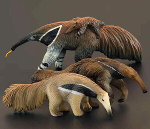 tBMA q V~[V ͌^  u  ߋ 쐶  IIANC A Fm Mtg i `