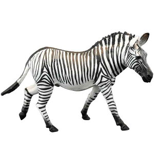 tBMA q ͋[ RNV  u  ߋ 쐶  ׂ  V}E} Ȕn |j[ K[f Mtg A [u