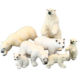 tBMA qp V~[V ͌^ Ԃ  u  ߋ VN} ɒn  H ӎ Mtg i 킢