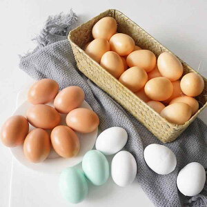 HiTv {  Aq tFCN Be Xܑ CeA V~[V fBXvC fR[V A A[g G IuWF