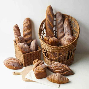 HiTv { t[hTv V~[V CS p VAx[O  Hi͌^ tFCN Xܑ fBXvC CeA z[fR  Lb`