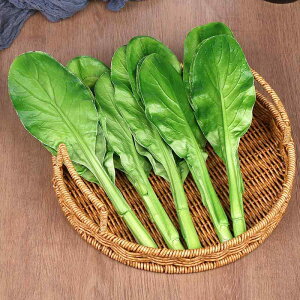 HiTv { t[hTv V~[V tFCN  xW^u  PU \tg fBXvC Xܑ Be H狳  o CeA fR[V Hi