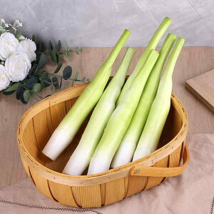 HiTv { Hi͌^ V~[V t[hTv |̎q  tFCN xW^u Xܑ Be fBXvC CeA A V[P[X Lb`fR CAE