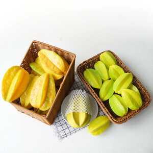 HiTv { SV tFCN t[c ze HX fBXvC z[fR[V Be t[hTv A Lb` CeA ANZg ͌^