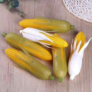 gERV vX`bN   CeA t[h ܂܂ HX _ RNV Hו ͌^