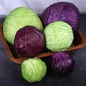 HiTv { t[hTv V~[V Lxc   X[p[}[Pbg JE^[  fBXvC Be c H狳  ܂܂ CeA Lb`