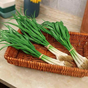 HiTv { lM  K PVC  H tFCN i W V[EBhE  Xg Be  