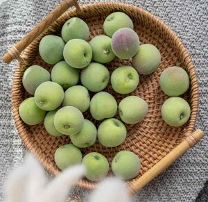 HiTv { ~ Е V~[V O[ v tFCN fBXvC i Be  E