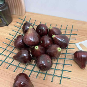 HiTv { ԉ t[c C`WN ʕ q  i X Be   tFCN 