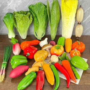   t[c ʕ tFCN  S oii tH[  Be  Zbg  i V prFX