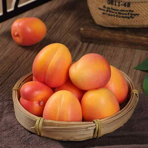 HiTv { ʕ tFCN  F AvRbg Ԃ ECO Y t[c   Be 