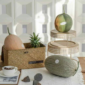 CeA   tFCN t[c HiTv A { Zbg  ʐ^ Be  \tg  l