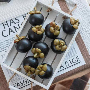 HiTv A { t[c ʕ   d݂ }SX` tFCN v Lv ʐ^ Be  i