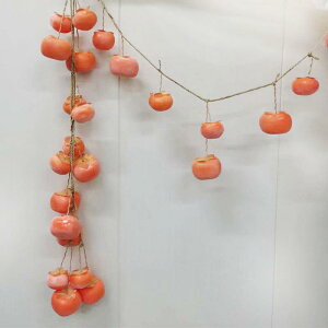 ` tFCN `    ʕ R ͌^ _  ݂邷 Be  g Jg[ c o