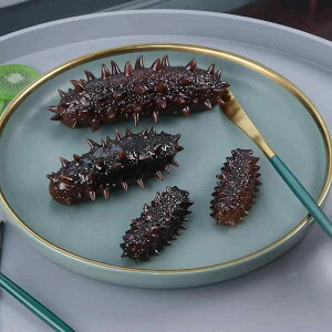 HiTv { t[hTv tFCN V~[V Hi͌^ i}R W X܉o H ze fBXvC H狳 ʐ^Be  A }[PeBO