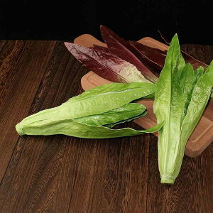 HiTv { V~[V t[hTv tFCN  ^X PU O[ W X܉o Lrlbg fBXvC CeA Be Ɩp