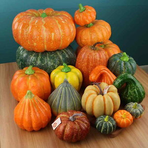 HiTv { V~[V t[hTv tFCN J{`   nEB NX}X X܉o W fBXvC ʐ^Be fR[V CeA