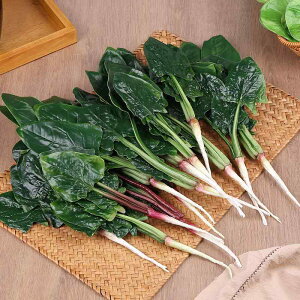 HiTv V~[V tFCN t[hTv Hi͌^ H狳 q ق ؃`[t PU \tgf X܉o W  CeA Lb`fR A 