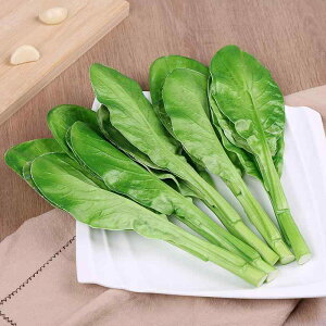 食品サンプル 野菜 フェイク ベジタブル フードサンプル 食品模型 食育教材 子供 シミュレーション 緑の葉 舞台装飾 撮影小道具 インテリア キッチン 飲食店 店舗演出 デコレーション