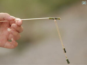 |`[t ANZT[  `   AbvX^C GKg  `[ t@bVACe a  񂴂 wAAW wAs