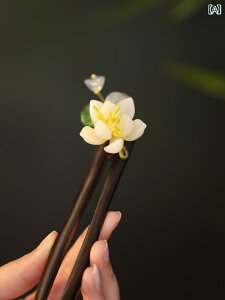 񂴂 ANZT[ fB[X   p[eB[ hX  `  JWA GKg i wAs   a I[V[Y