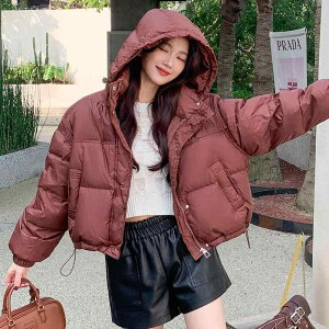 _E WPbg ~ ؍ t@bV X t[ht V[g fB[X K h JWA 