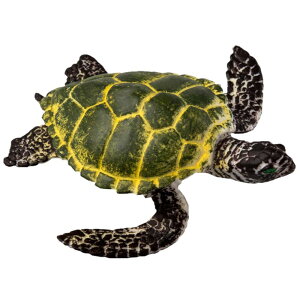 �E�~�K�� �C�m���� �t�B�M���A �͌^ �������� �z�r�[ �l�` �R���N�V���� �C���e���A �~�j�`���A ���A�� �͋[ �q�� �v���[���g ���� �v���X�`�b�N