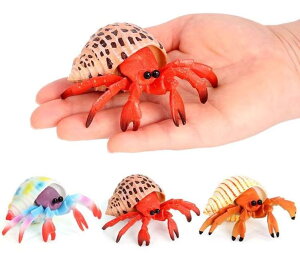 Jj Cm tBMA ͌^  zr[ l` RNV CeA ~j`A A q  V~[V hJ vX`bN