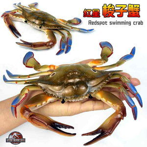 Jj uX^[ Cm tBMA ͌^  zr[ l` RNV CeA ~j`A A ͋[ vX`bN i q  Mtg