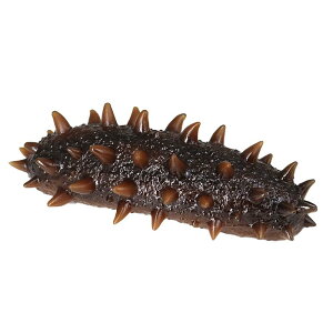 �i�}�R �t�O �J�N���N�}�m�~ �C�m���� �t�B�M���A �͌^ �������� �z�r�[ �l�` �R���N�V���� �C���e���A �~�j�`���A ���A�� ���� �v���X�`�b�N �����i �q��